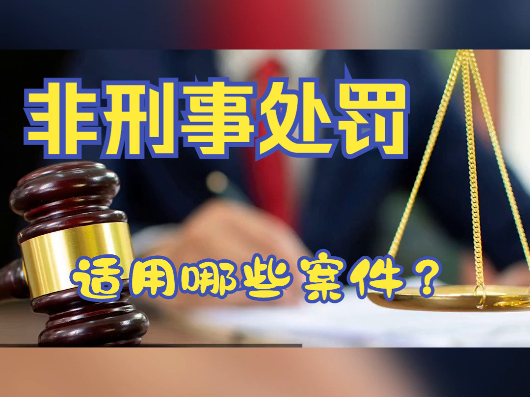 非刑事处罚适用哪些案件?天津律师哔哩哔哩bilibili