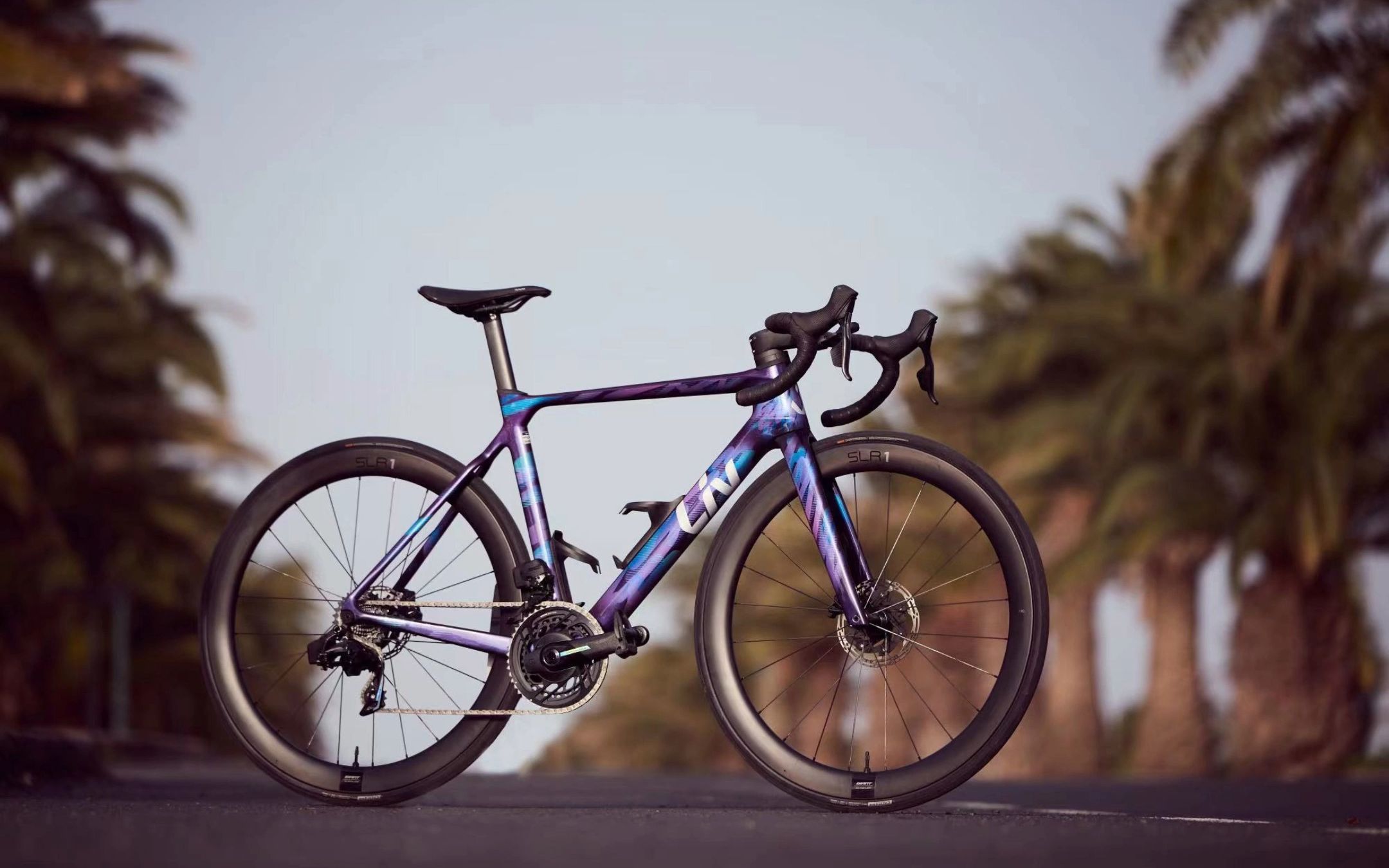 公路车居然可以这么漂亮!