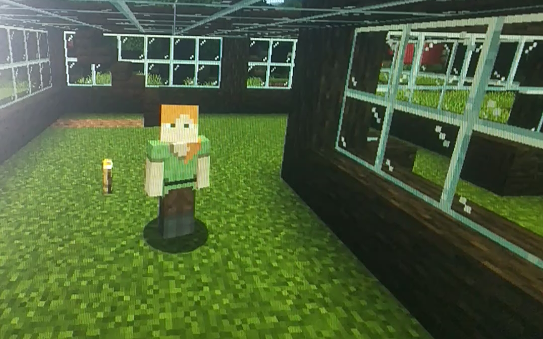 一起玩虚无世界java版