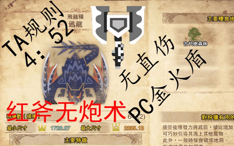pc金火龙盾斧 ta规则迅龙 0针_哔哩哔哩 (゜-゜)つロ 干杯~-bilibili