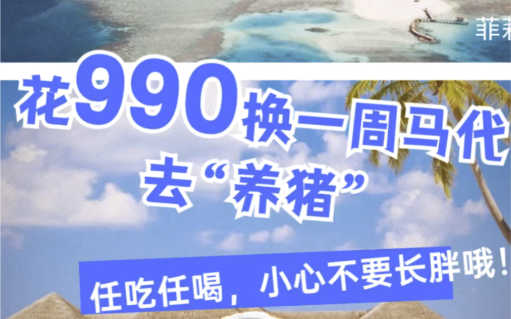 马代酒店信息差:三位数就能去马尔代夫度假一周#高性价比酒店推荐 #省钱攻略 #一种新的住酒店方式#兔大师全球移动度假屋 #独家高壁垒蓝海度假赛道...