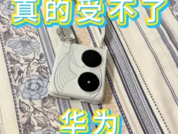 下载视频: 今晚无意间看了我的 Pocket2 一眼，受不了华为了……受不了了ಥ_ಥ