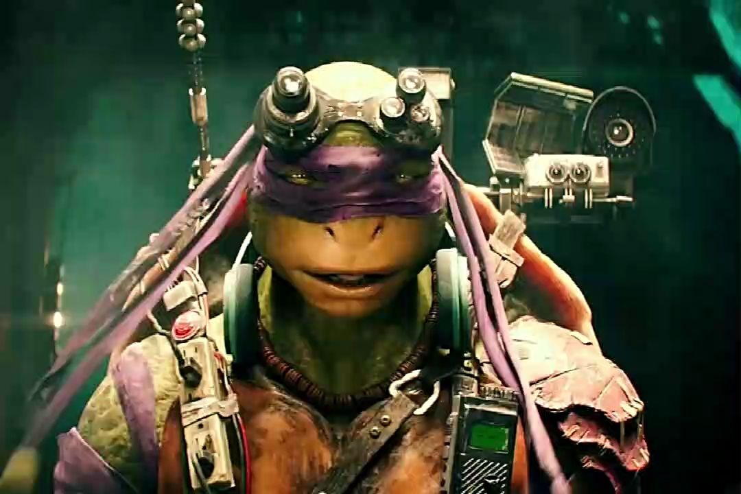 忍者神龟  一只老鼠把小乌龟慢慢养大