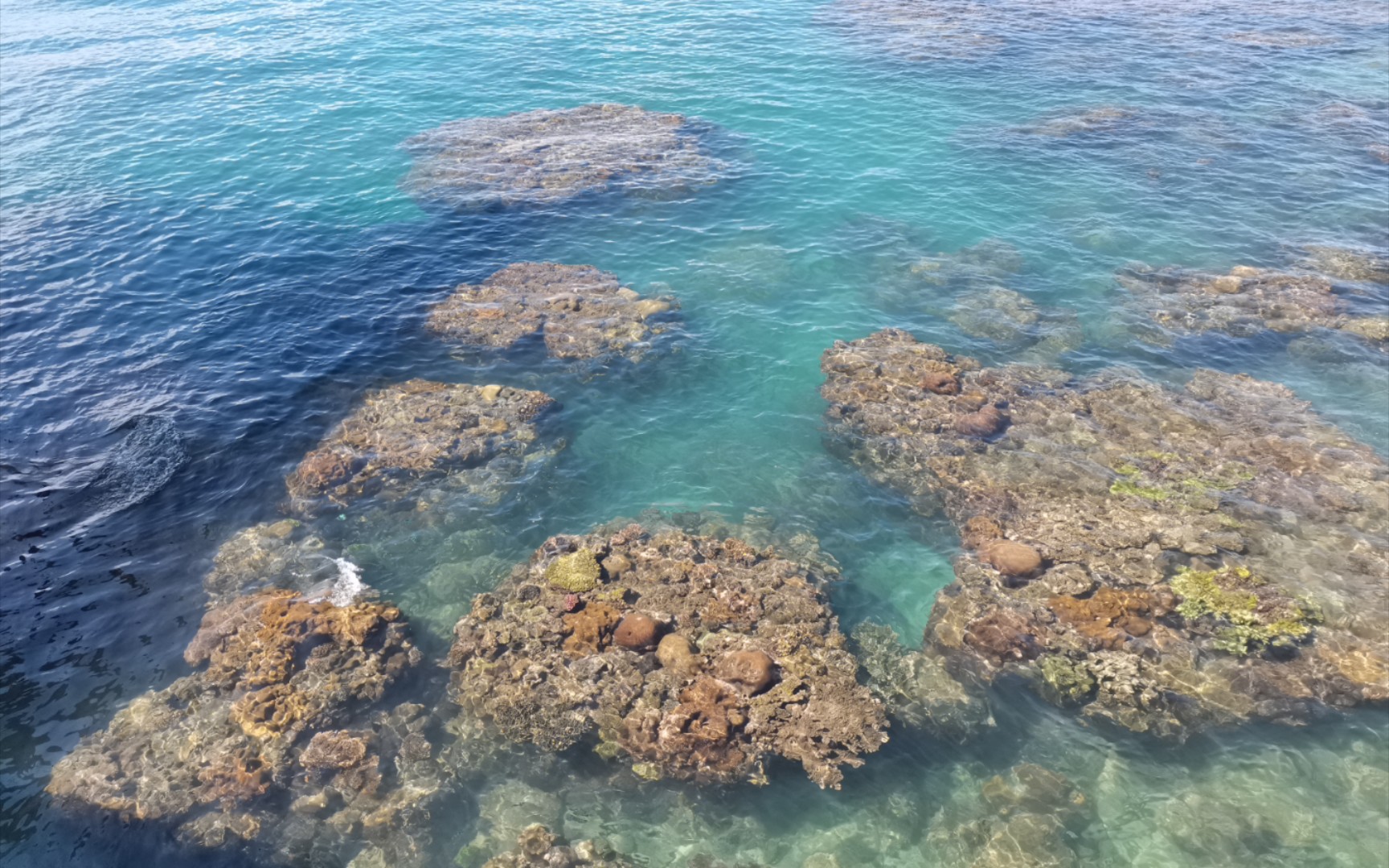 西沙群岛的美景 潜水图片