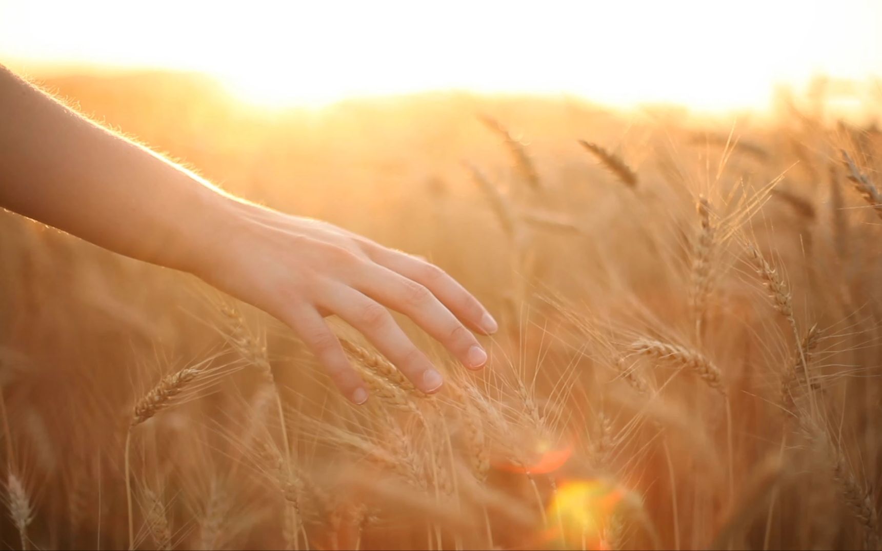 稻香周杰伦伴奏版舞台大屏幕led背景视频