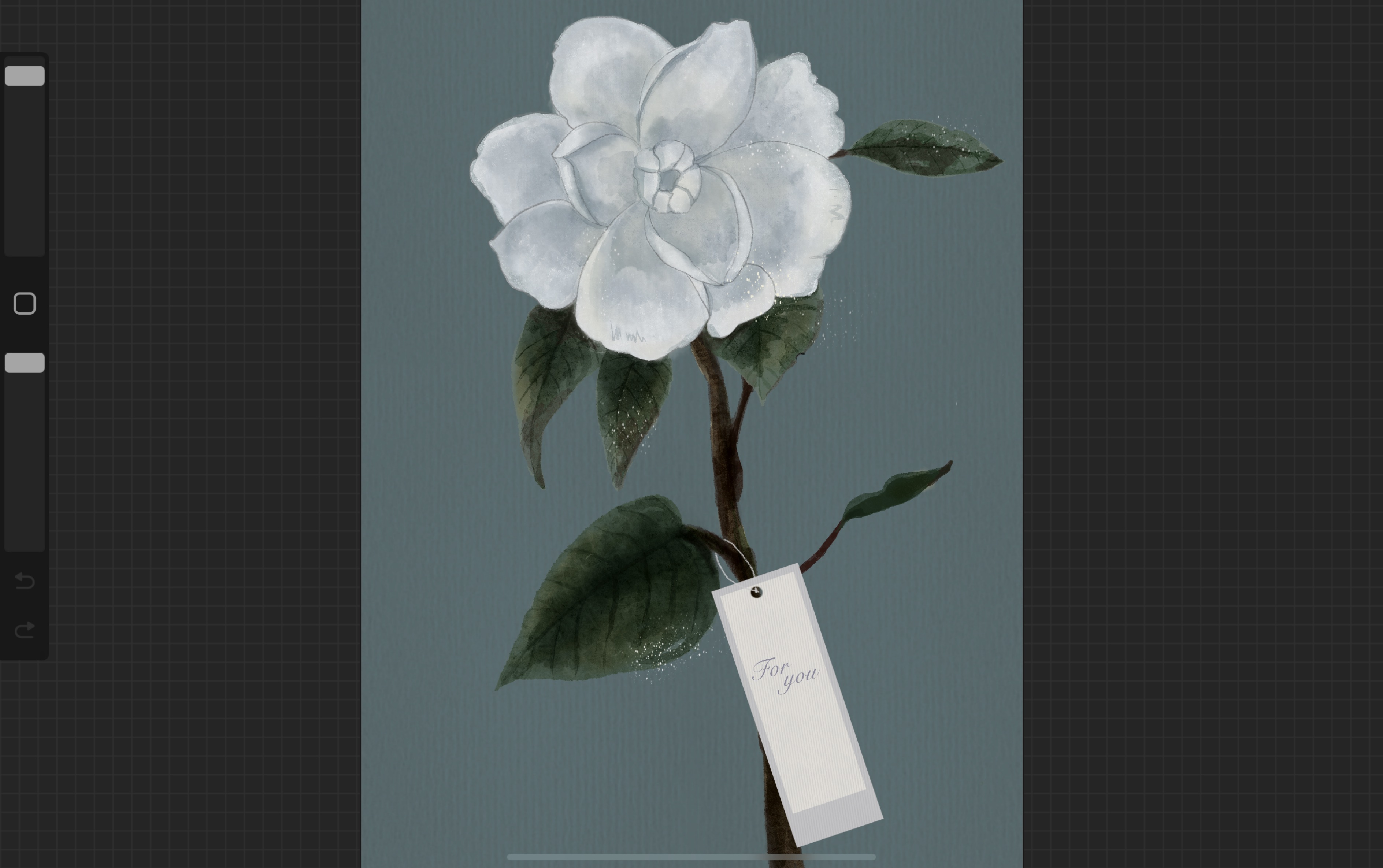 【procreate】新手画明信片,白茶花水彩过程,(不专业!