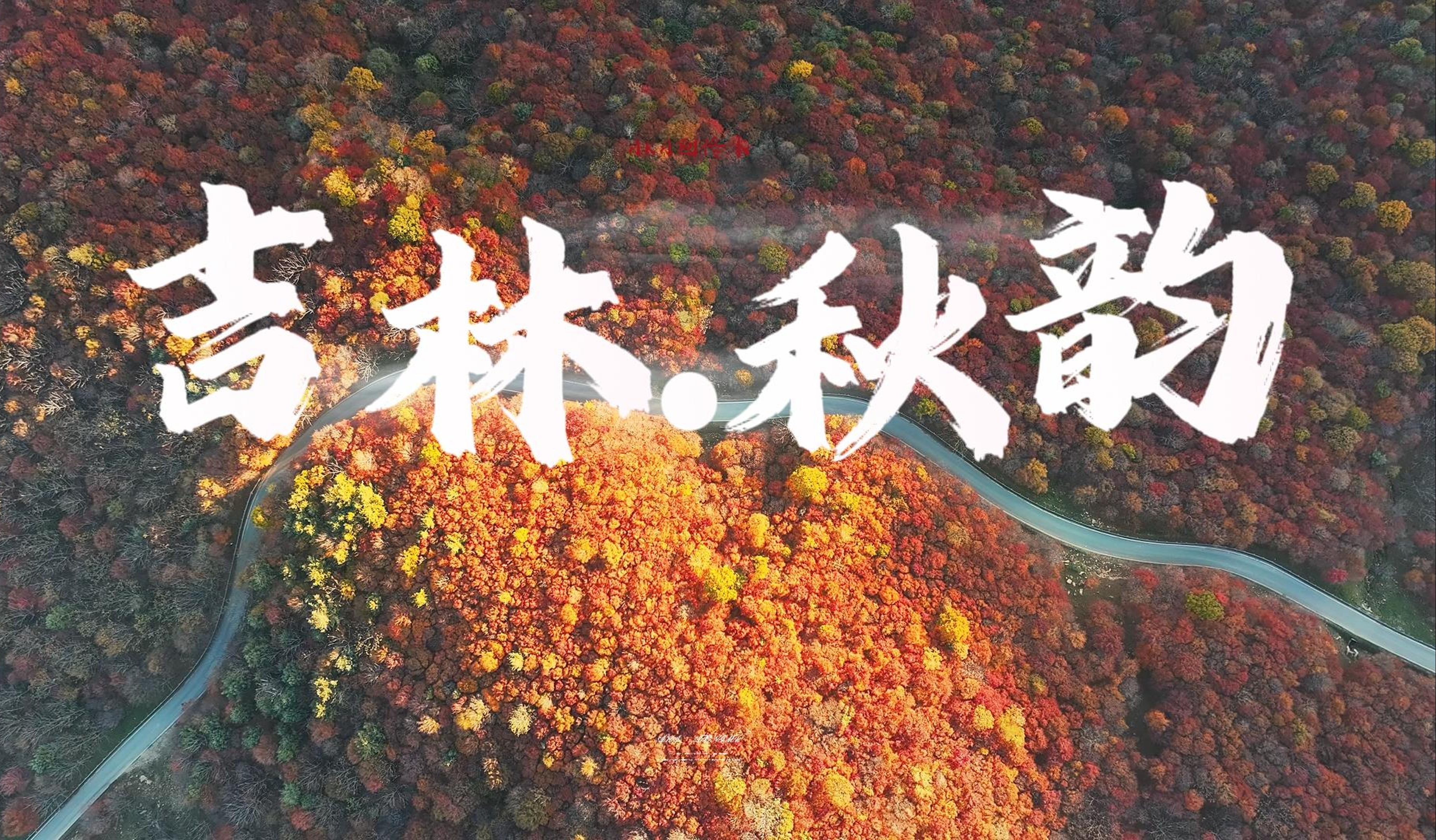 【吉林秋韵】【4K】东北|旅游|在吉林,遇见五彩斑斓的秋天哔哩哔哩bilibili