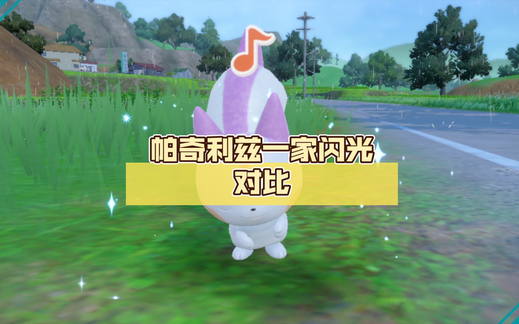 帕奇利兹一家闪光对比