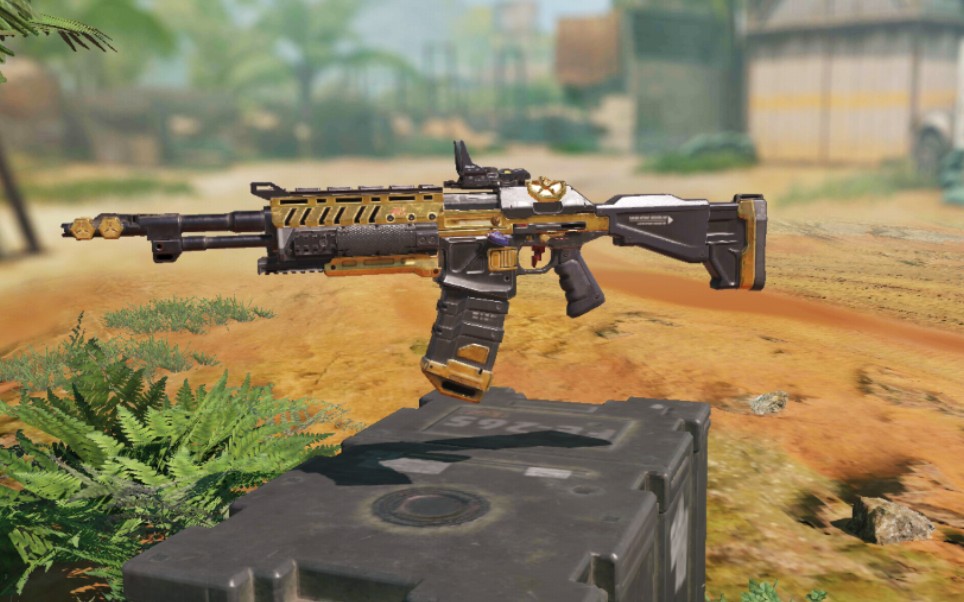 大肥猫codm决胜时刻an94典藏金帅的一批