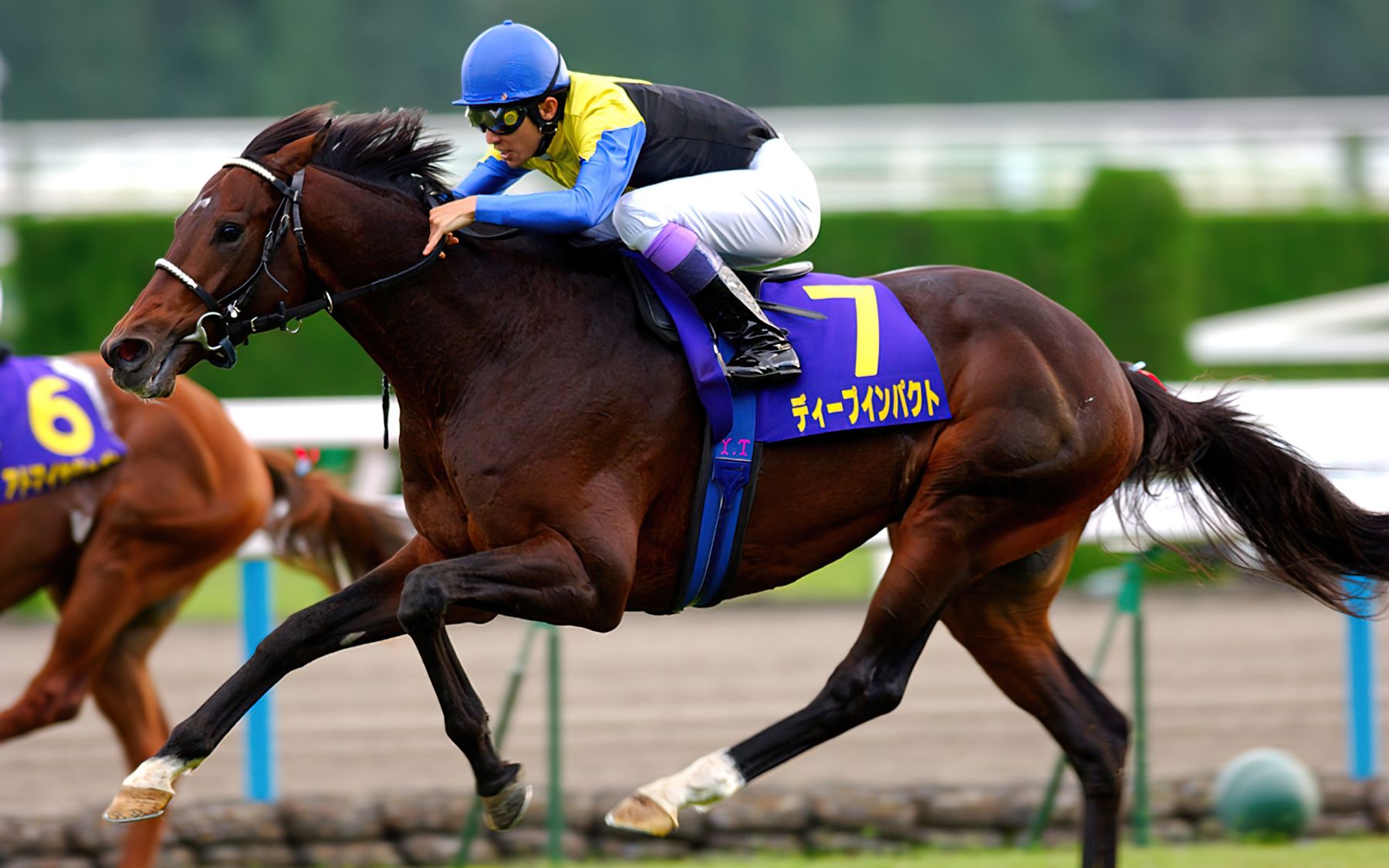 2005年 菊花赏 【大震撼】 三冠达成 完全中继