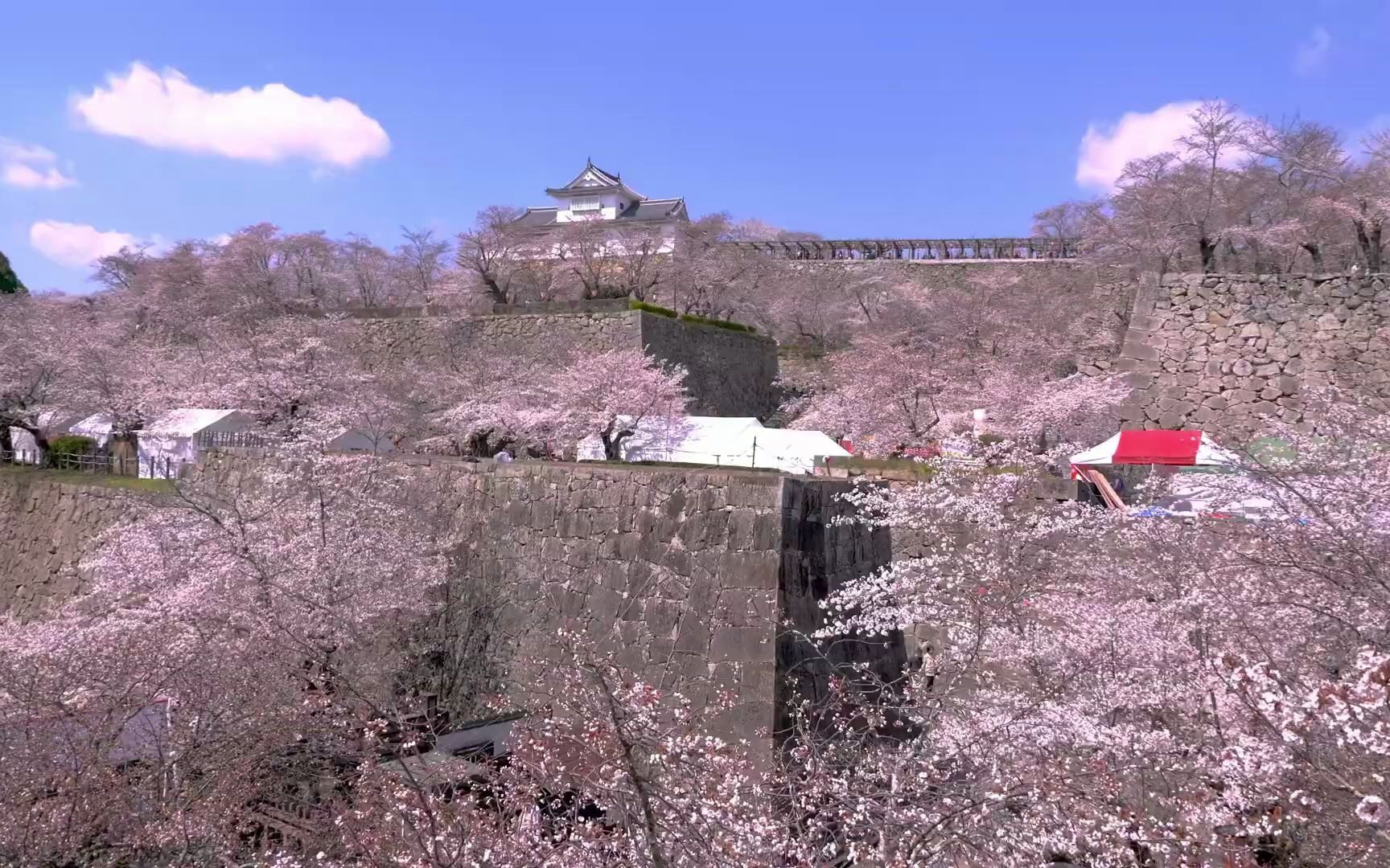 【日本百名城】067.「津山城」 