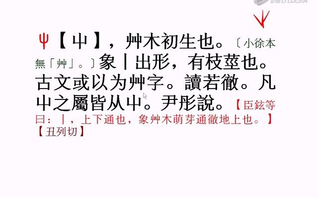 【国学新知】葛亮精读《说文解字》之“屯”(第023期)哔哩哔哩bilibili