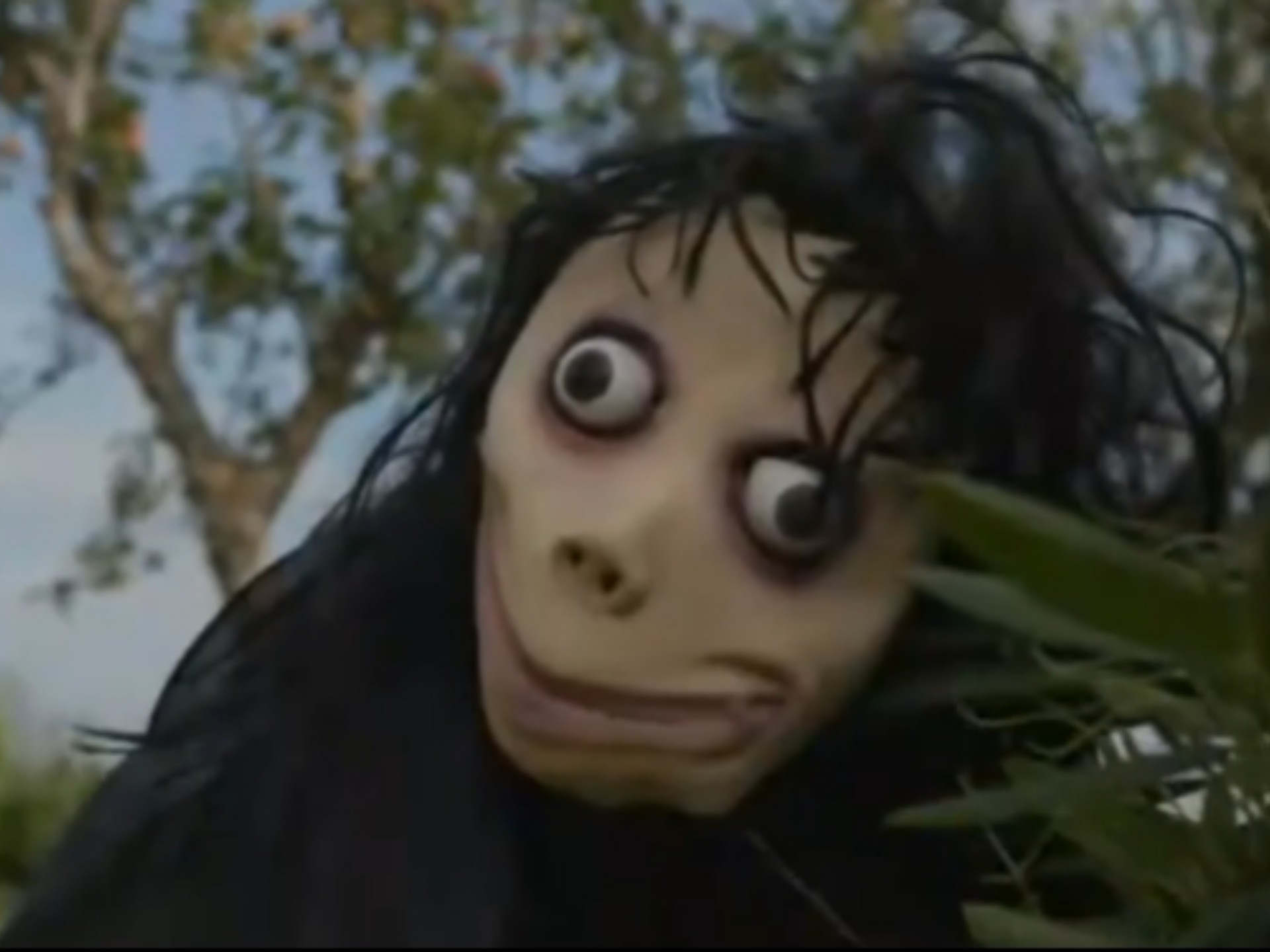 胆小勿入!恐怖短片《momo》第20季