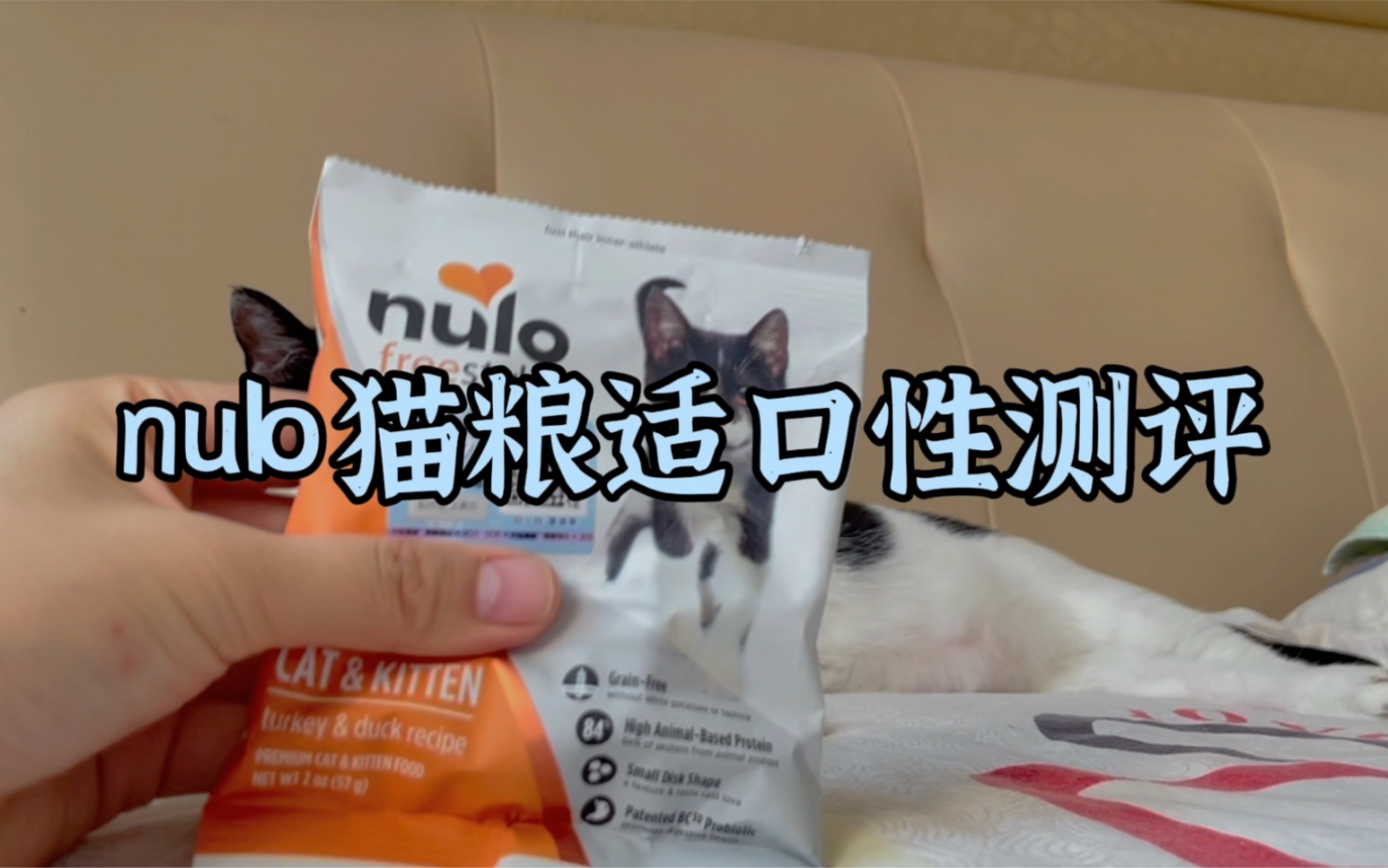 nulo猫粮趣味性适口性测评~哔哩哔哩bilibili