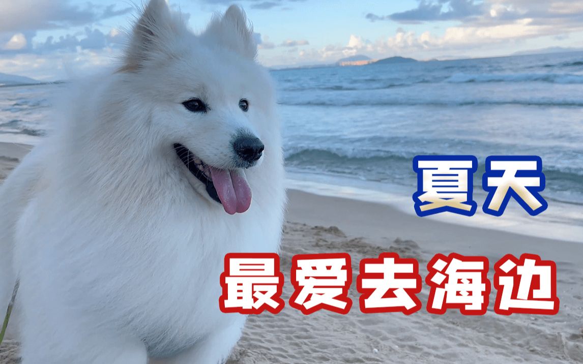 [图]有海的夏天，多美好啊！！