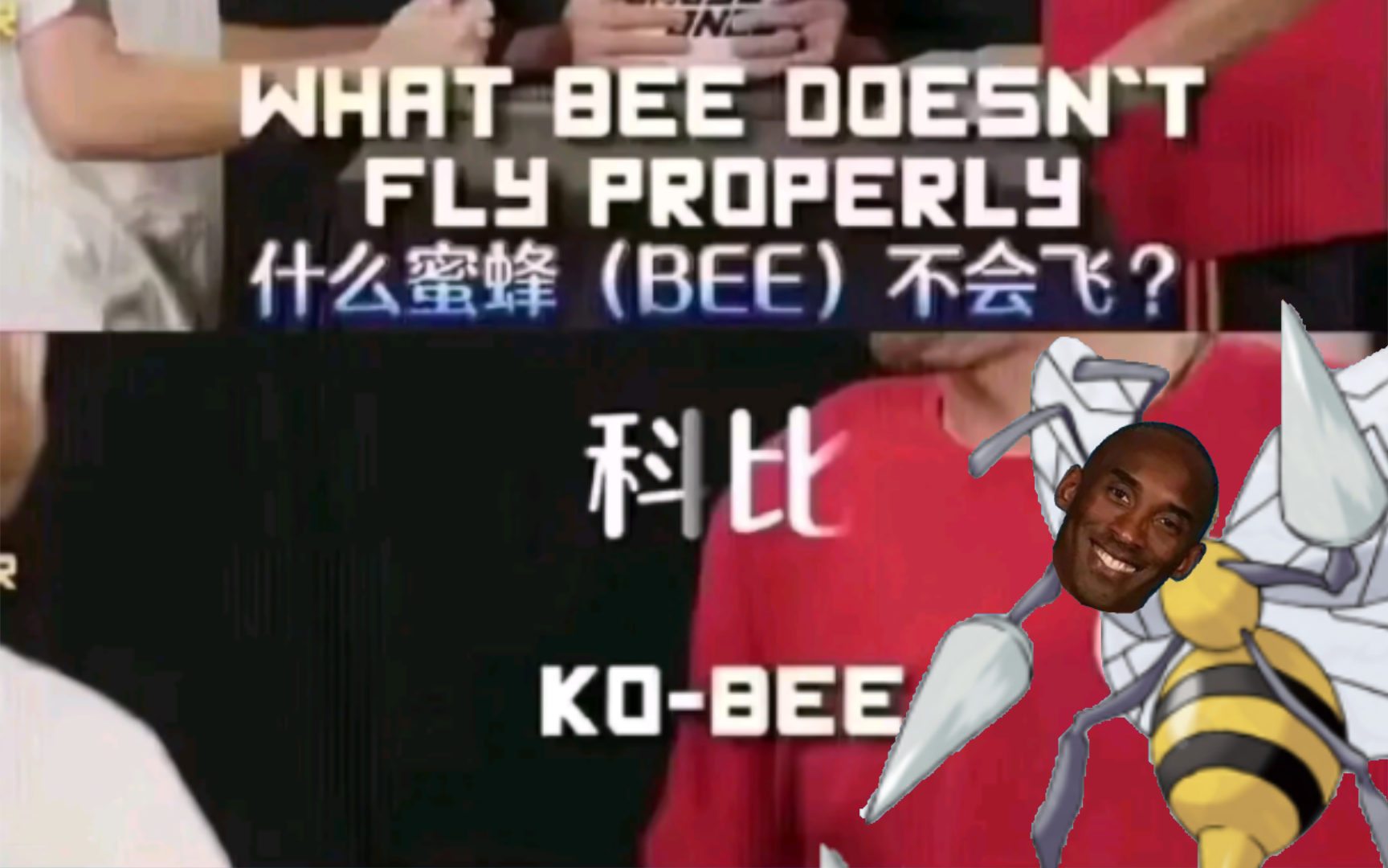 什么蜜蜂不会飞?科bee哔哩哔哩bilibili