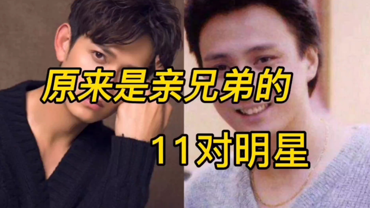 原来是亲兄弟的11对明星,哪对最像?
