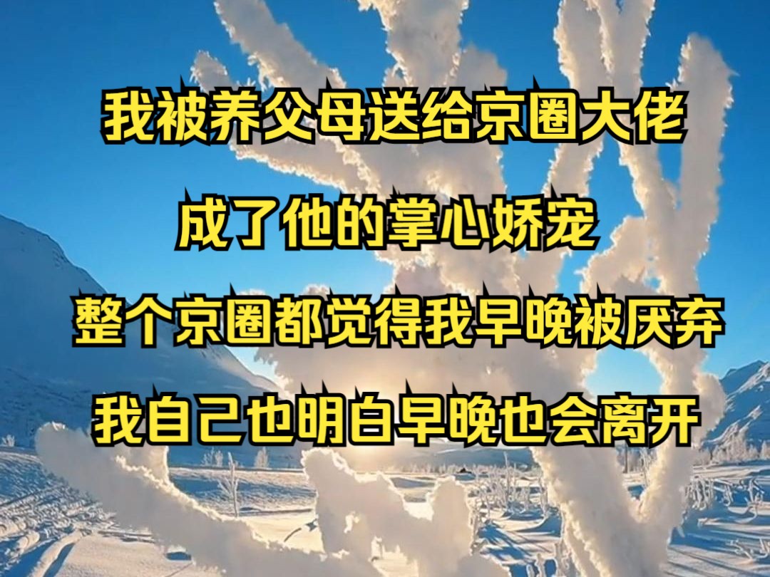 (全长26分钟)我被养父母送给京圈大佬谢厅南,成了他的掌心娇宠,整个京圈都觉得我早晚被厌弃,我自己也明白,早晚也会离开......哔哩哔哩bilibili