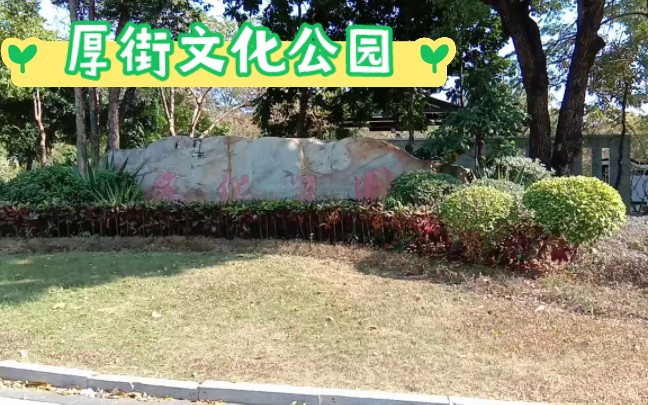 东莞厚街大学图片