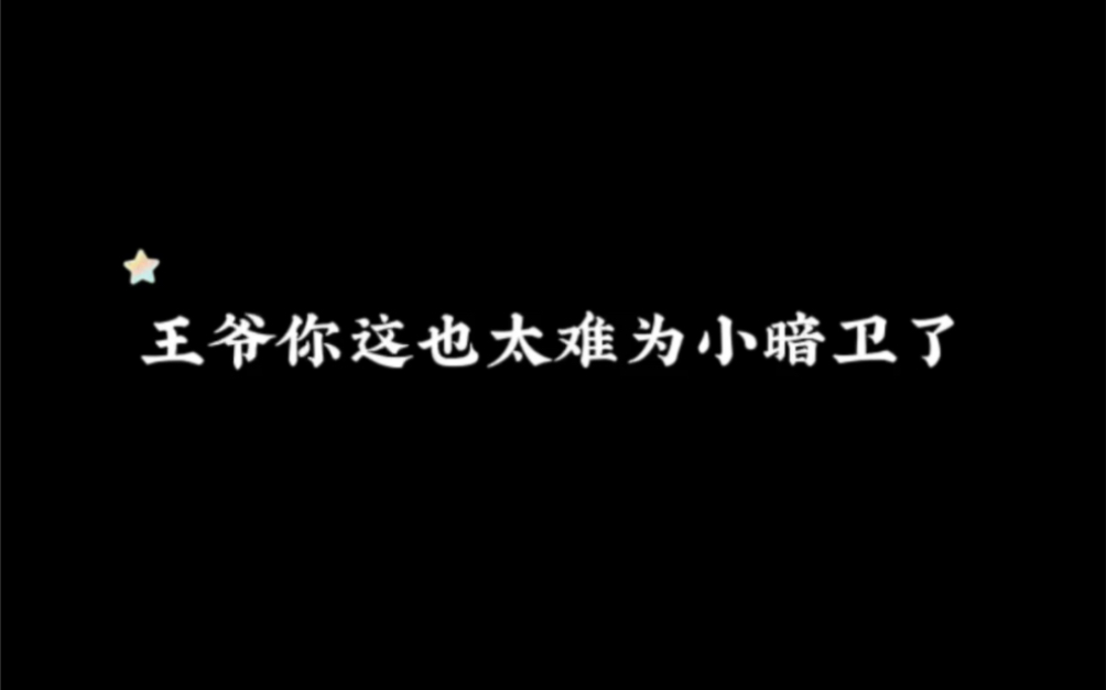 《王爷的暗卫》哔哩哔哩bilibili