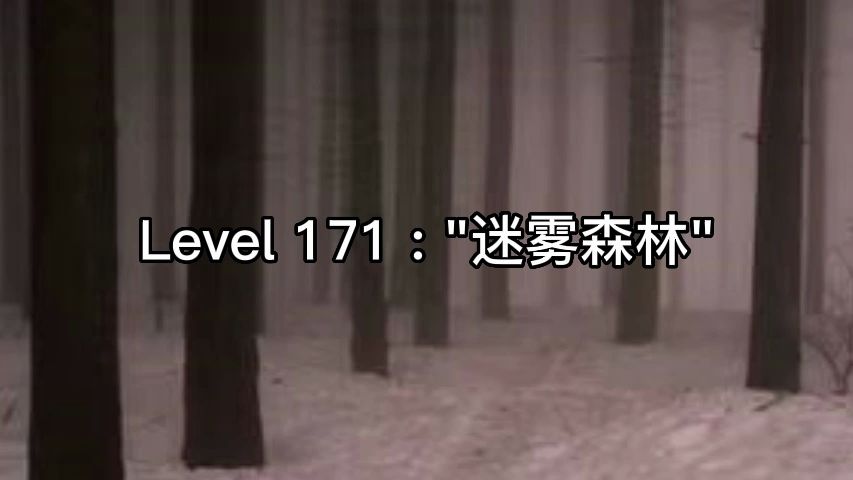 [图]Level 171 : "迷雾森林"，黑暗的迷雾和永无积雪的冬季林地