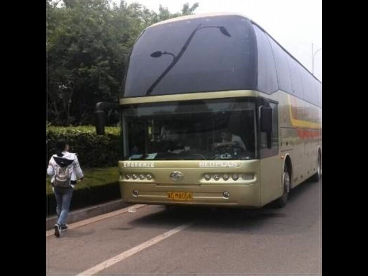 如皋到顺德客车长途汽车票价格多少?