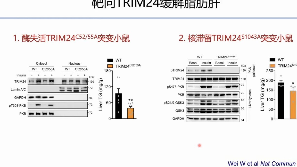 20240120南京大学陈帅 骨骼肌糖脂代谢调控机制与代谢疾病哔哩哔哩bilibili