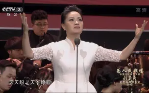 Video herunterladen: 雷佳《恨似高山仇似海》郭兰英艺术成就音乐会20191005