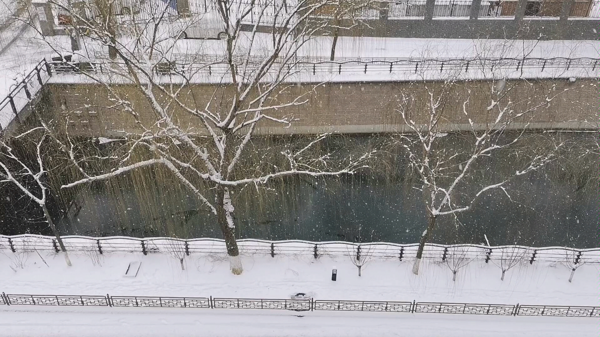 [图]落雪满京城❄️