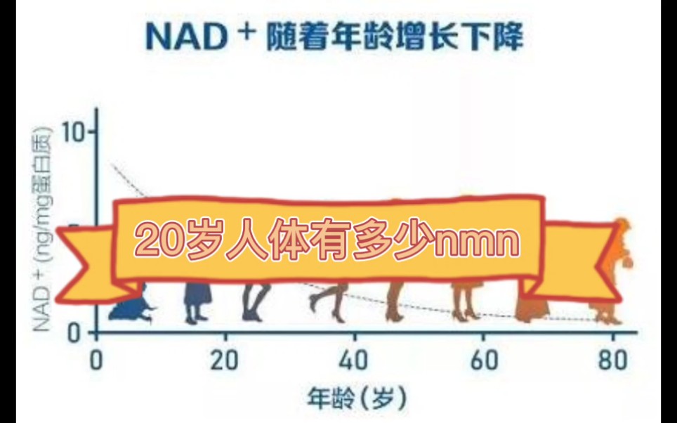 20岁人体有多少nmn,线粒体素和NMN各有什么作用?哔哩哔哩bilibili