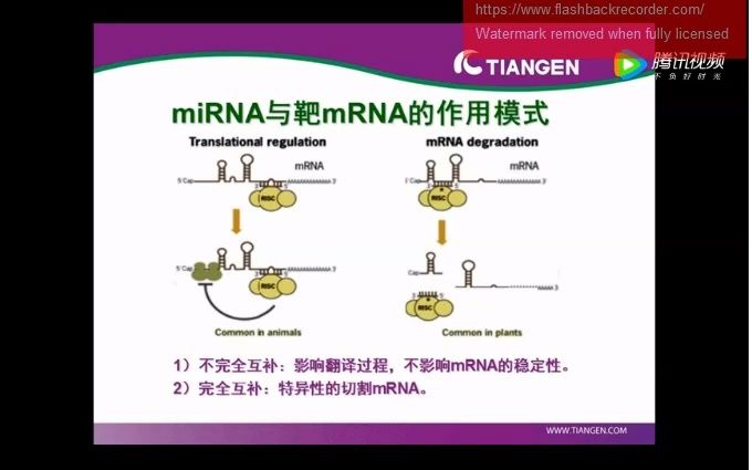 miRNA的研究前沿哔哩哔哩bilibili