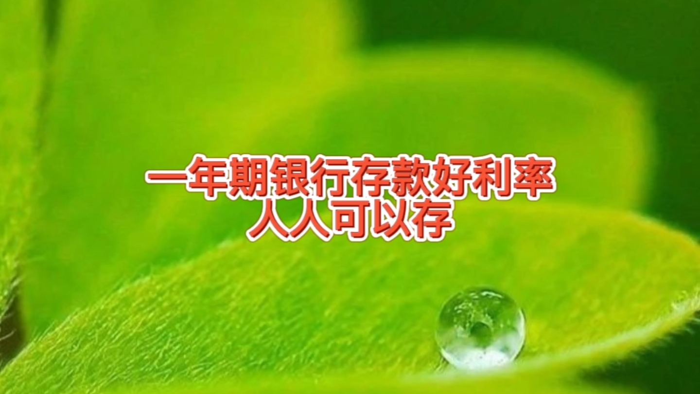 人人都可以存的银行存款,一年期2.15%,同一个期限为啥利息不同哔哩哔哩bilibili