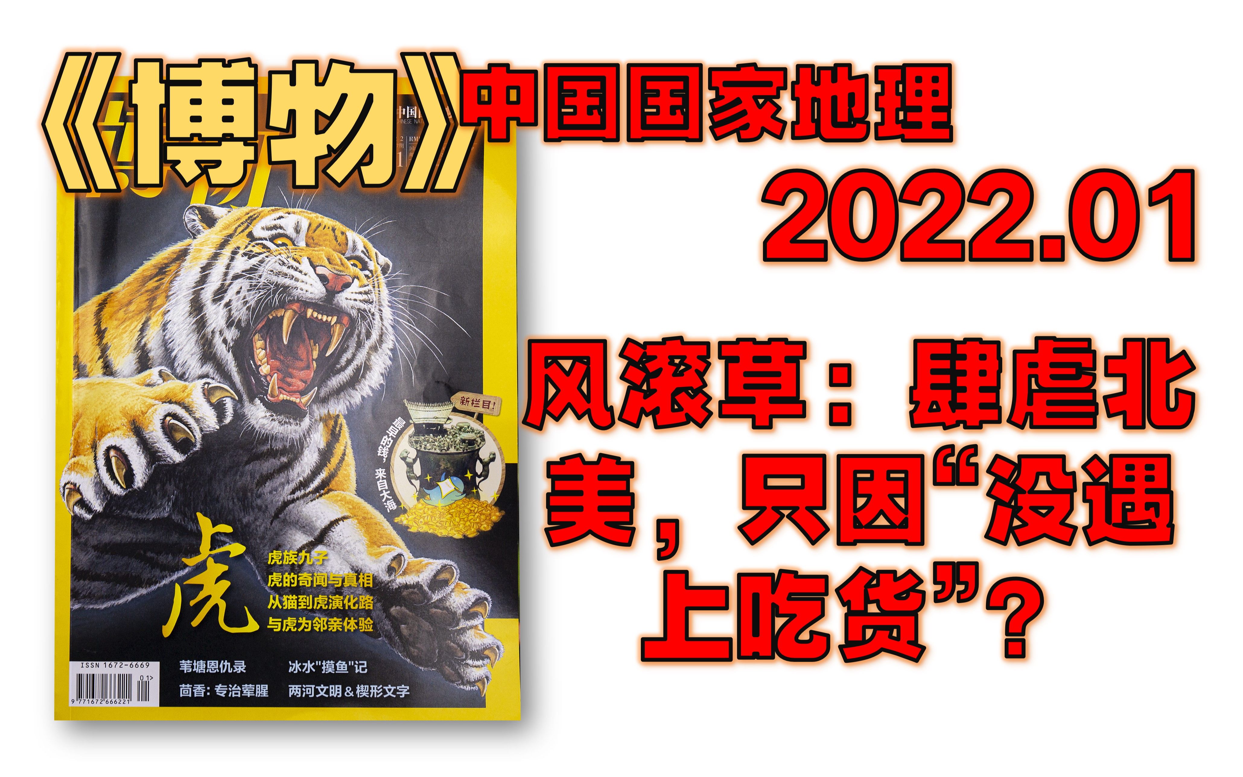 【月刊】《博物》 2022年1月  贝币:最早的钱出自大海 / 《绝对魔兽战线》中的两河旧事 / 虎族九子,全面告急!/ 大杜鹃vs.东方大苇莺哔哩哔哩bilibili