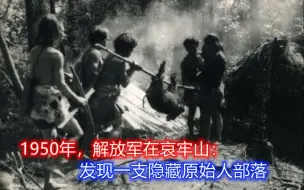 Download Video: 1950年，解放军一支部队，在云南哀牢山深处：发现一支原始人部落