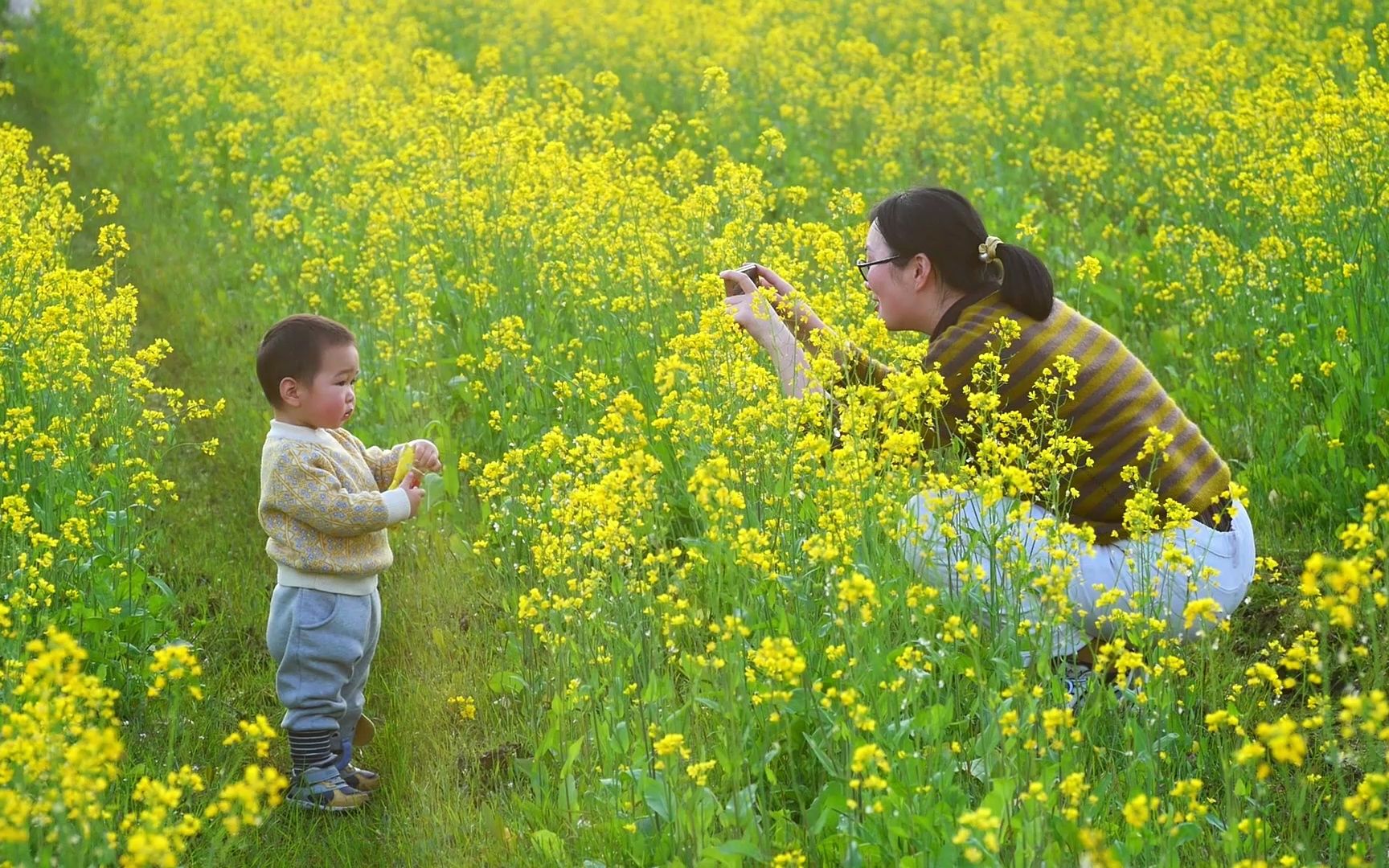 赣州市周边油菜花地一日游哔哩哔哩bilibili