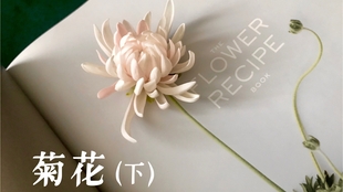 花花 树脂粘土花教程 菊花 上 哔哩哔哩 つロ干杯 Bilibili