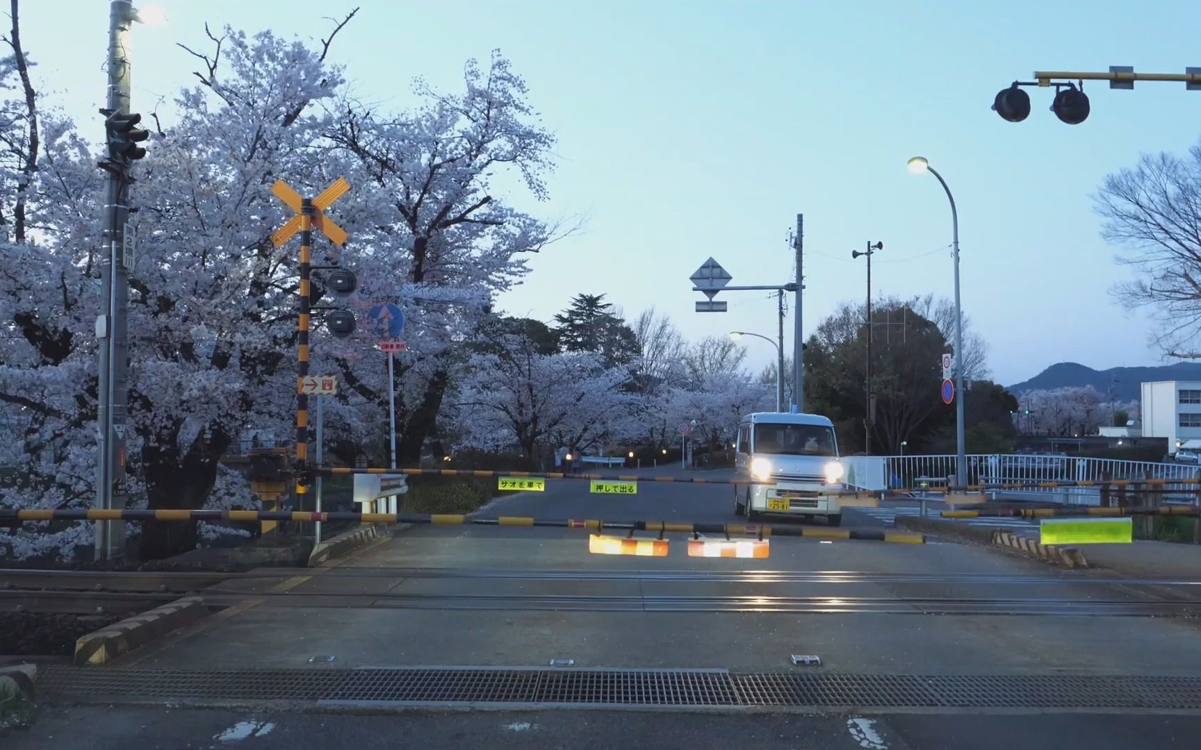 【超清日本】【bgm自制】第一视角 行驶在一宫市 各务原市 樱花车道