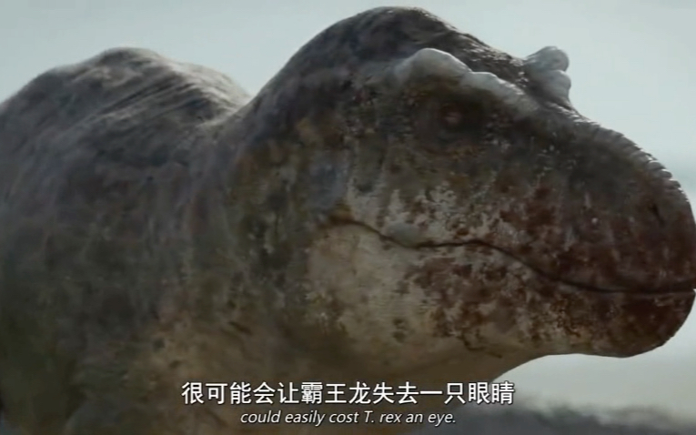 史前星球霸王龙与风神翼龙抢食