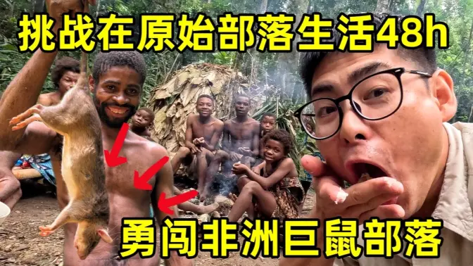 挑战在非洲原始部落生活48小时，探访非洲硬核矮人族，居然靠吃巨鼠为生