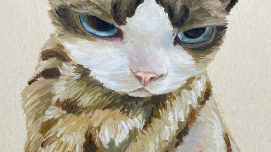 油画棒|戴墨镜的猫