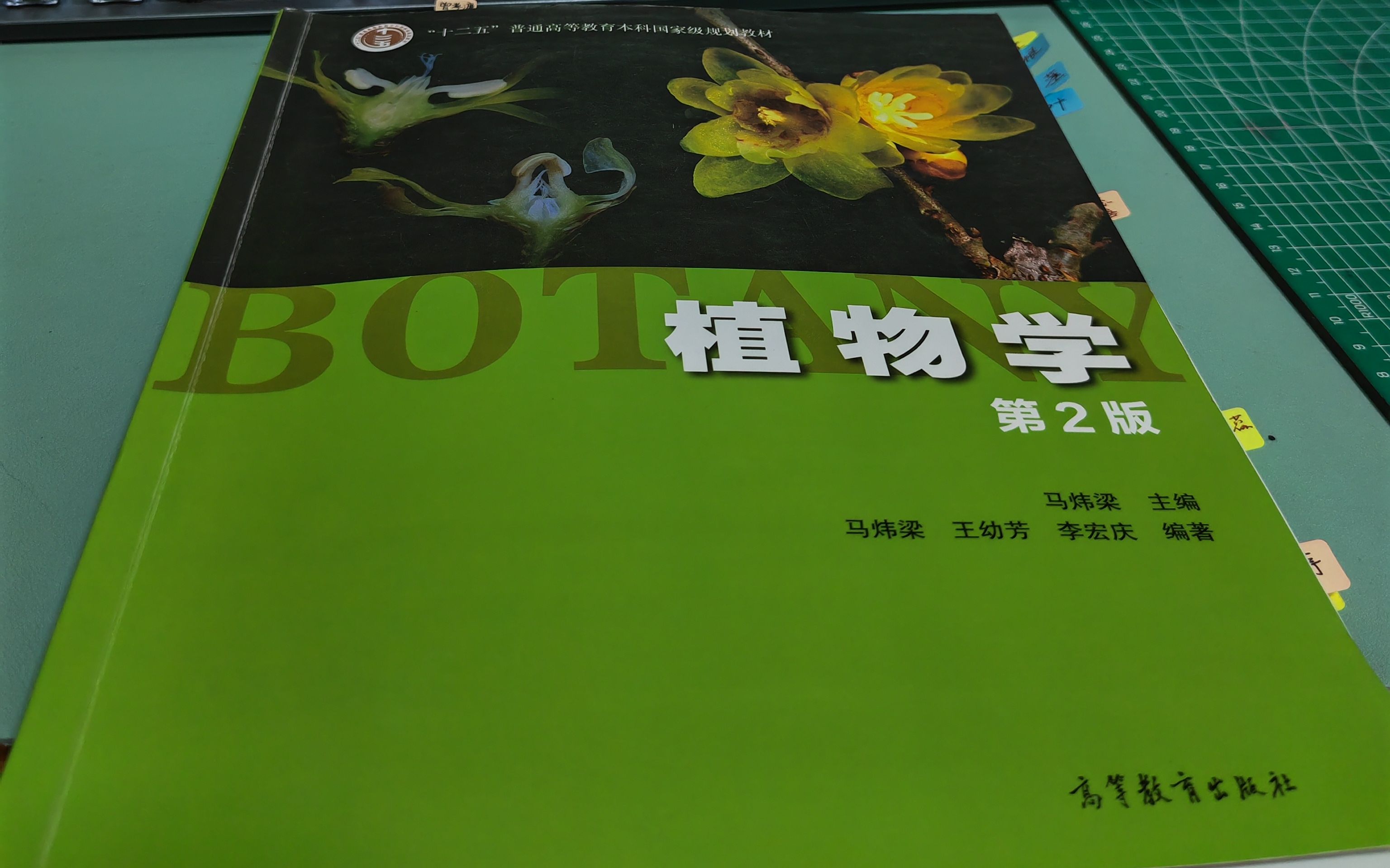 5马炜梁植物学第二版——生长分化和组织类型哔哩哔哩bilibili