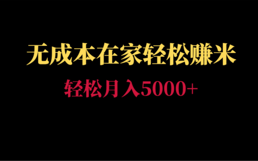 在家就可以操作的赚米的兼职,无成本轻松月入5000+【副业】哔哩哔哩bilibili