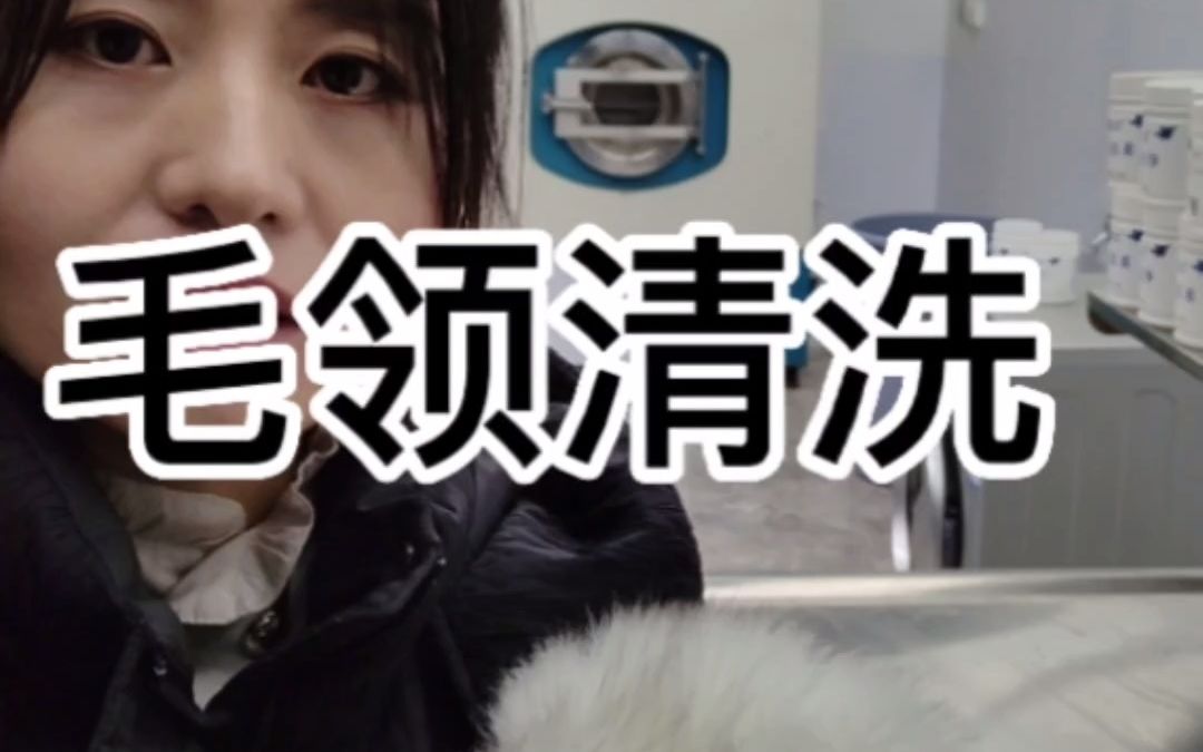 毛领清洗专业方法哔哩哔哩bilibili