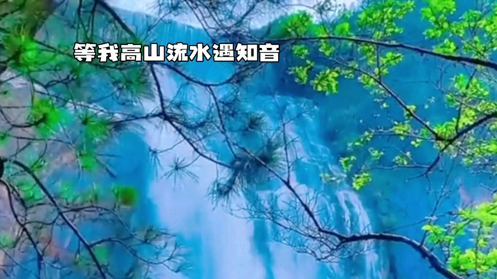 [图]等我高山流水遇知音