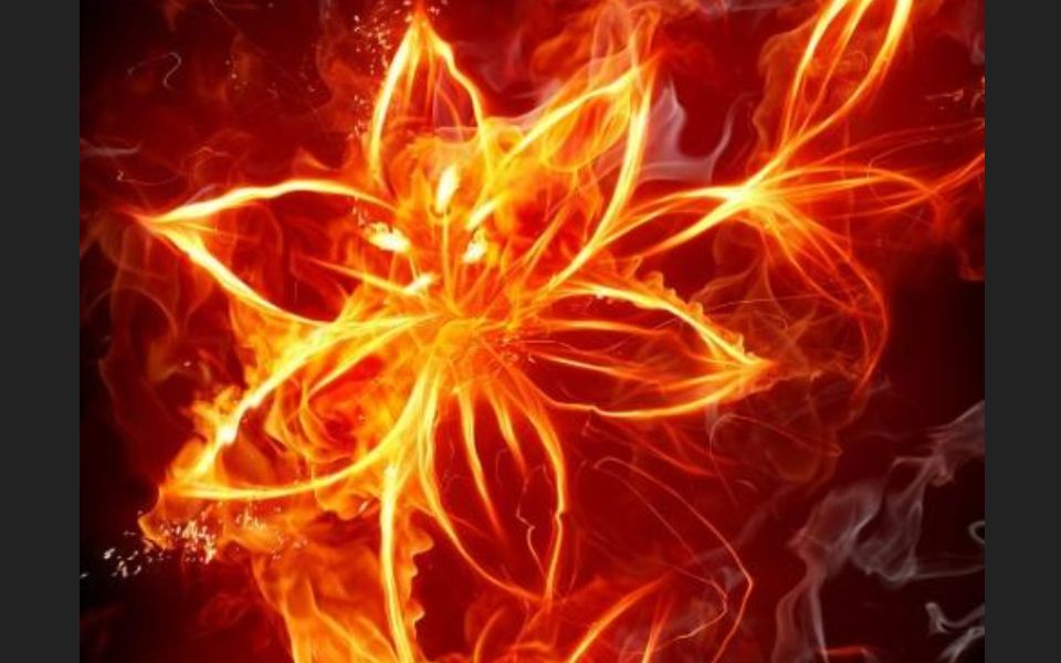 【初三党必备】家庭探究可燃物燃烧条件