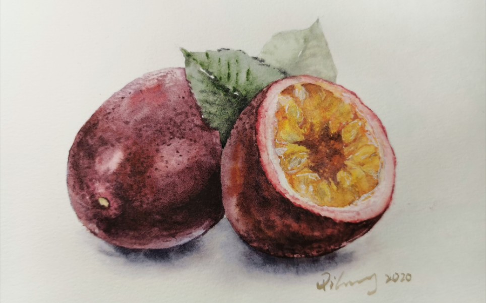 【水彩】百香果(为了变白最近吃超级多,牙酸.