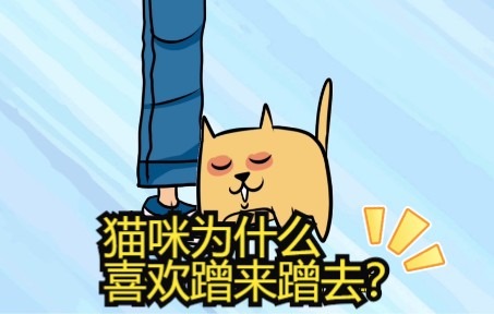 猫咪到处蹭来蹭去是因为痒了吗?哔哩哔哩bilibili