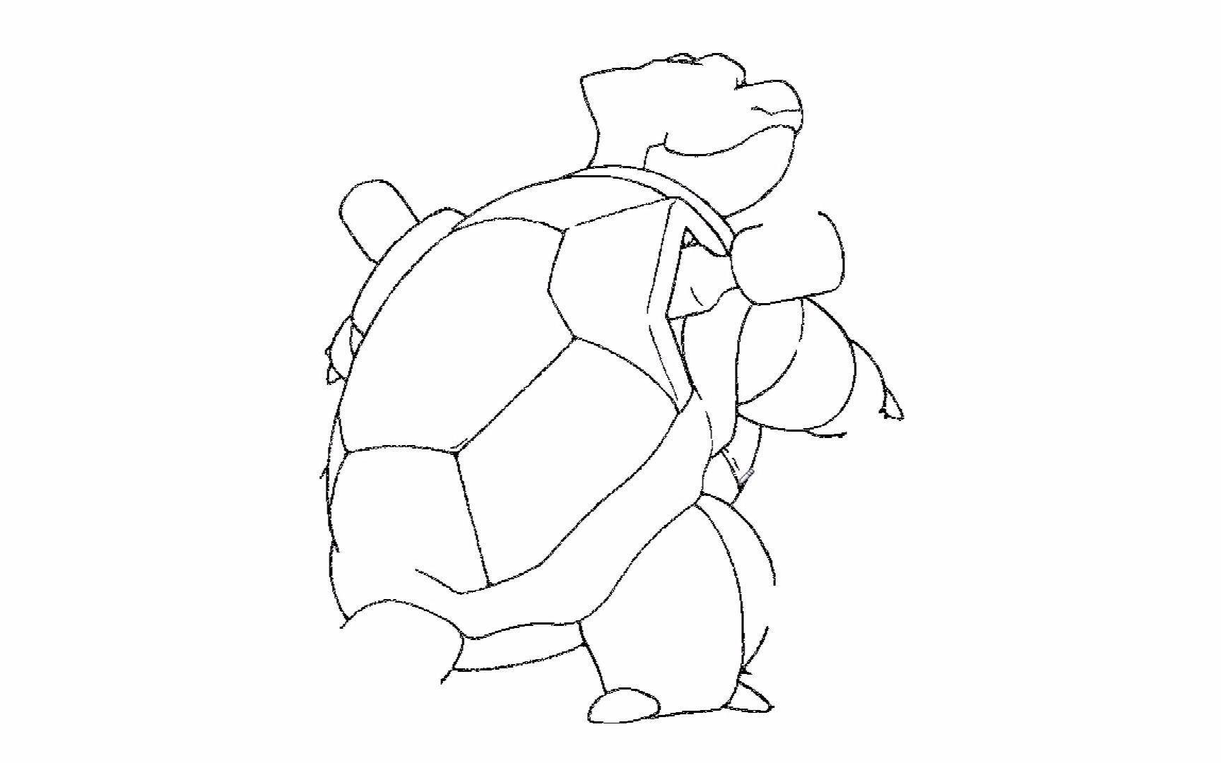 水箭龟的简笔画图片