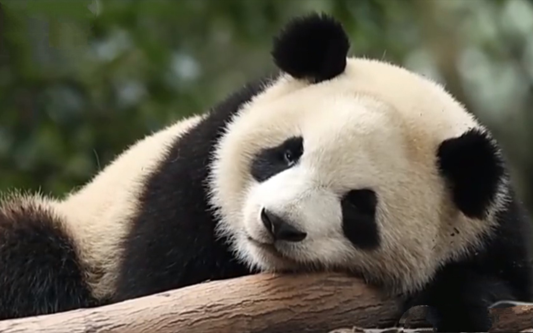 失眠的人那么多,看看中医怎么是怎么认识的