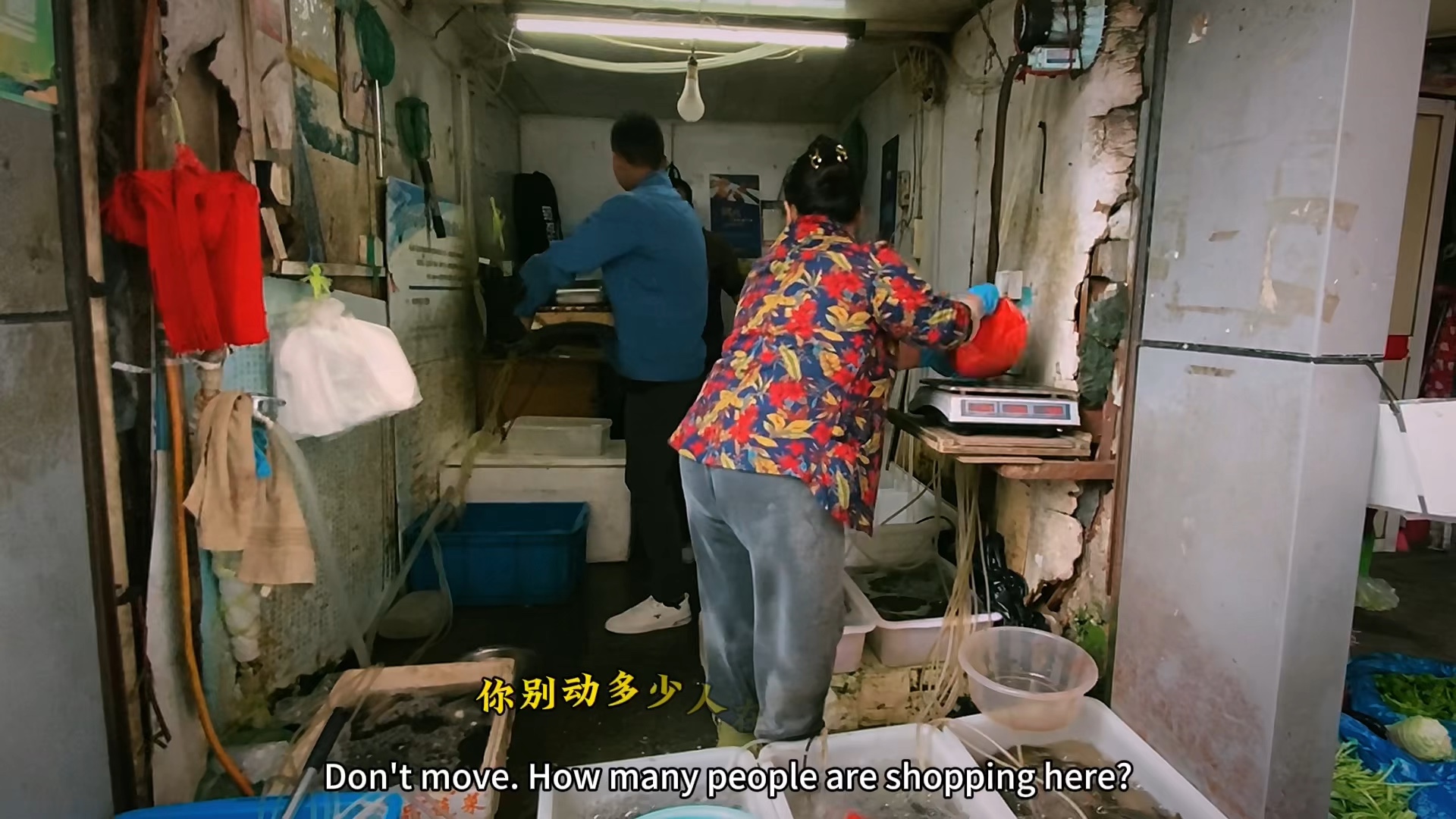 南京一家卖鱼的故事!